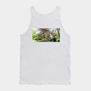 Terra Cont'd Tank Top